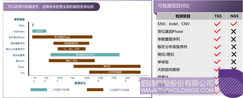 1709000221775667.jpg 4c.jpg