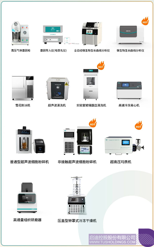 1712993879955549.jpg 2c.jpg