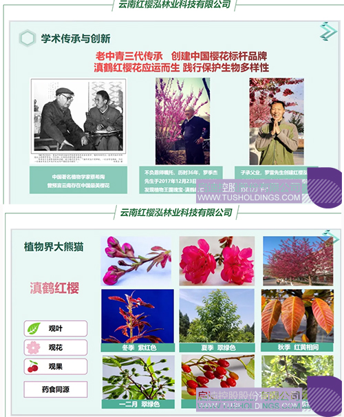 1718677003792409.jpg 未標題-1cc.jpg